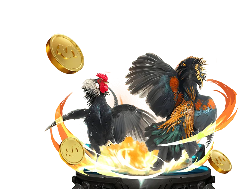 Hướng dẫn cá cược Thể thao tại daga 88 com